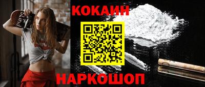 a pvp Новозыбков