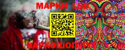 ПСИЛОЦИБИНОВЫЕ ГРИБЫ Новокубанск