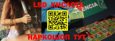 a pvp Новозыбков