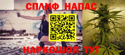 a pvp Новозыбков