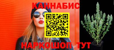 a pvp Новозыбков