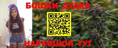 a pvp Новозыбков