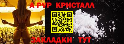 a pvp Новозыбков