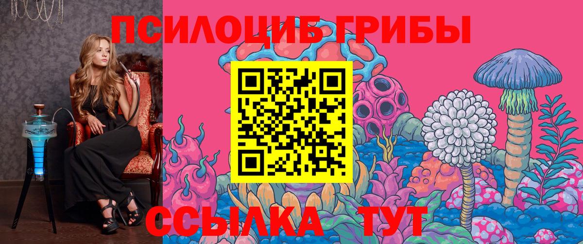 Галлюциногенные грибы Psilocybe Ялта